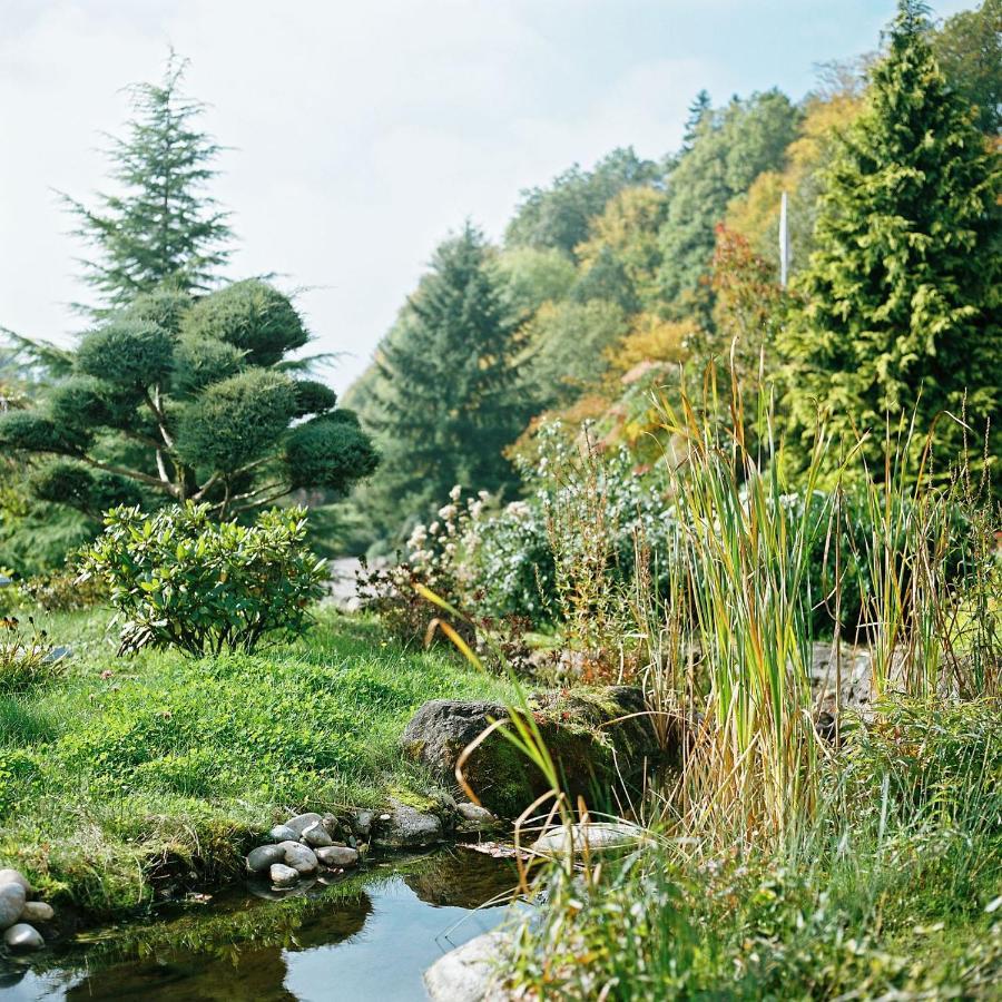 La Clairiere Bio & Spahotel La Petite-Pierre Buitenkant foto
