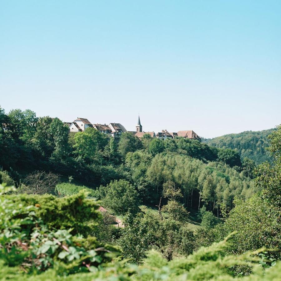 La Clairiere Bio & Spahotel La Petite-Pierre Buitenkant foto